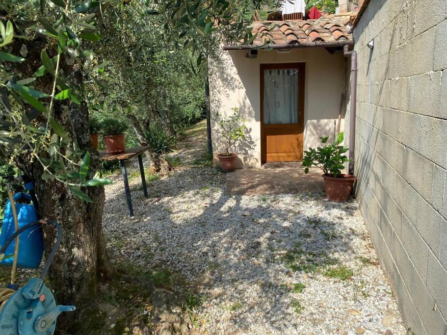 Rivolta Home Buti Exterior photo