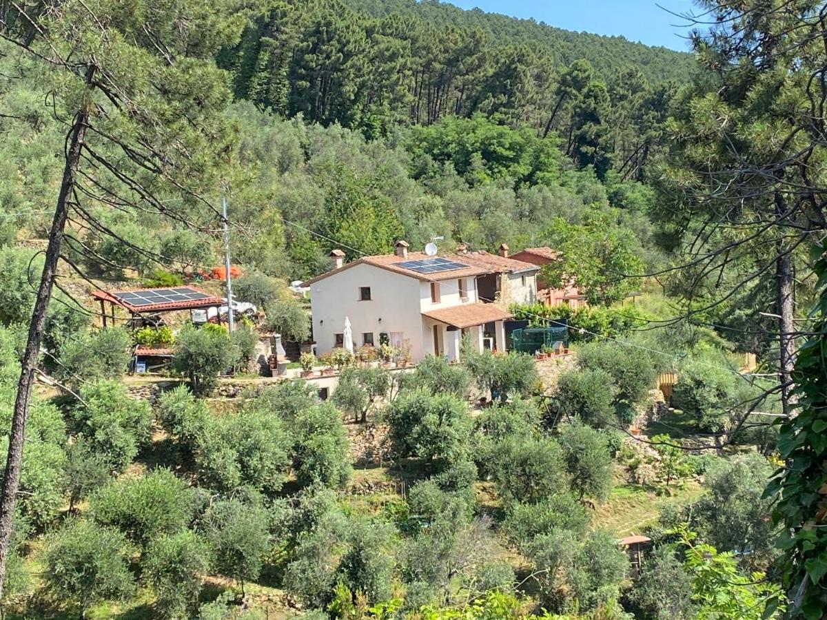 Rivolta Home Buti Exterior photo